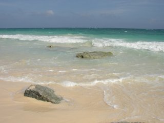 elbow beach