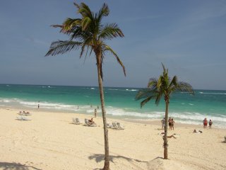 elbow beach