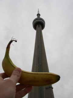the cn tower...