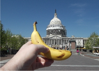 the capital building