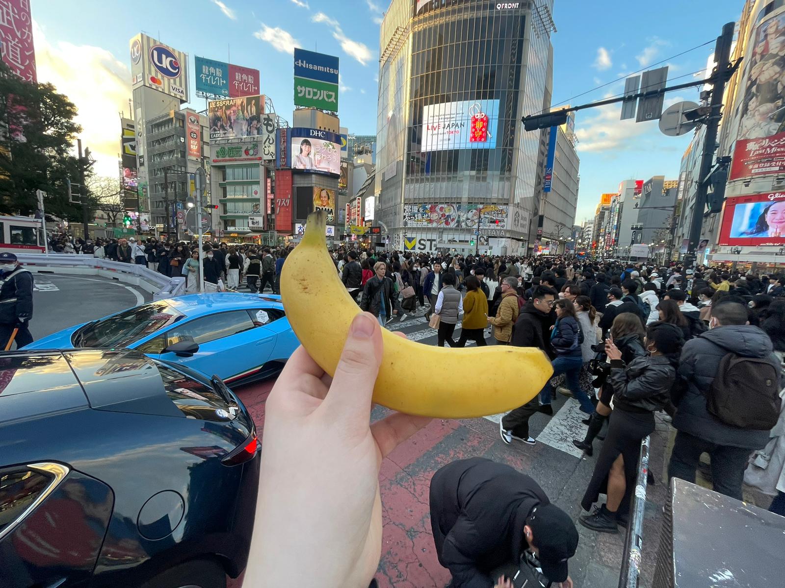 shibuya crossing, tokyo