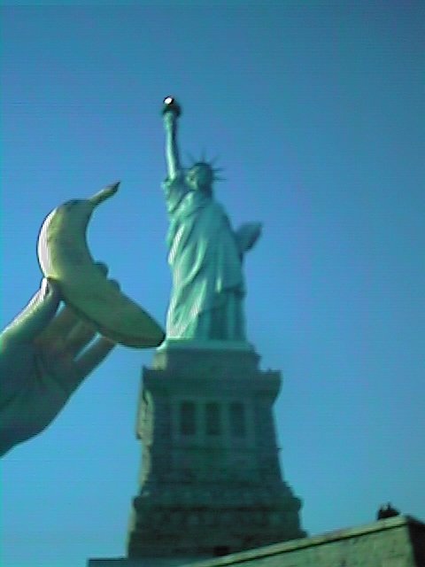 statue of libery - new york city