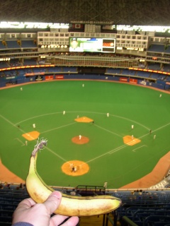 the toronto skydome