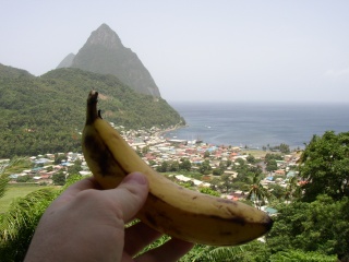 the pitons of st lucia