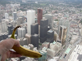 the toronto skyline - cn tower - skypod deck