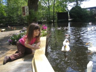 pic of the week...